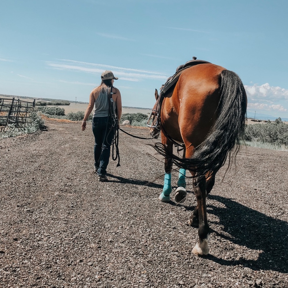 Meet your Posher, Holly